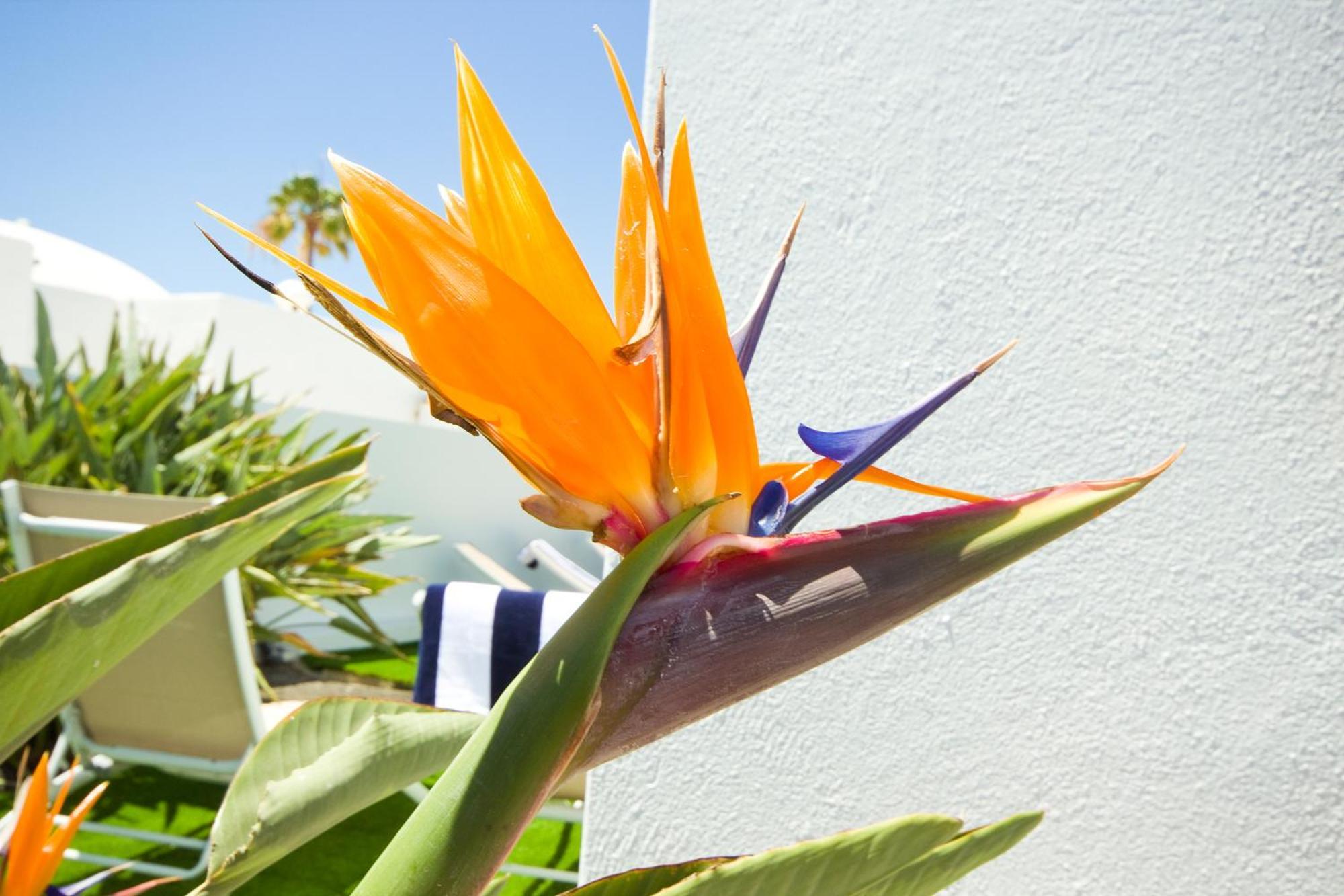 Villa El Golfo - By Az Rentals Puerto del Carmen (Lanzarote) Exterior foto